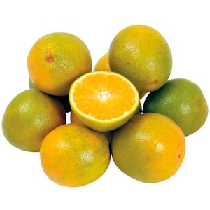 Laranja Pera Benassi Orgânica 500g