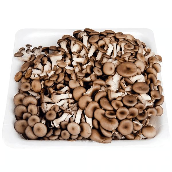 Cogumelo Shitake (200g) - Orgânicos in Box