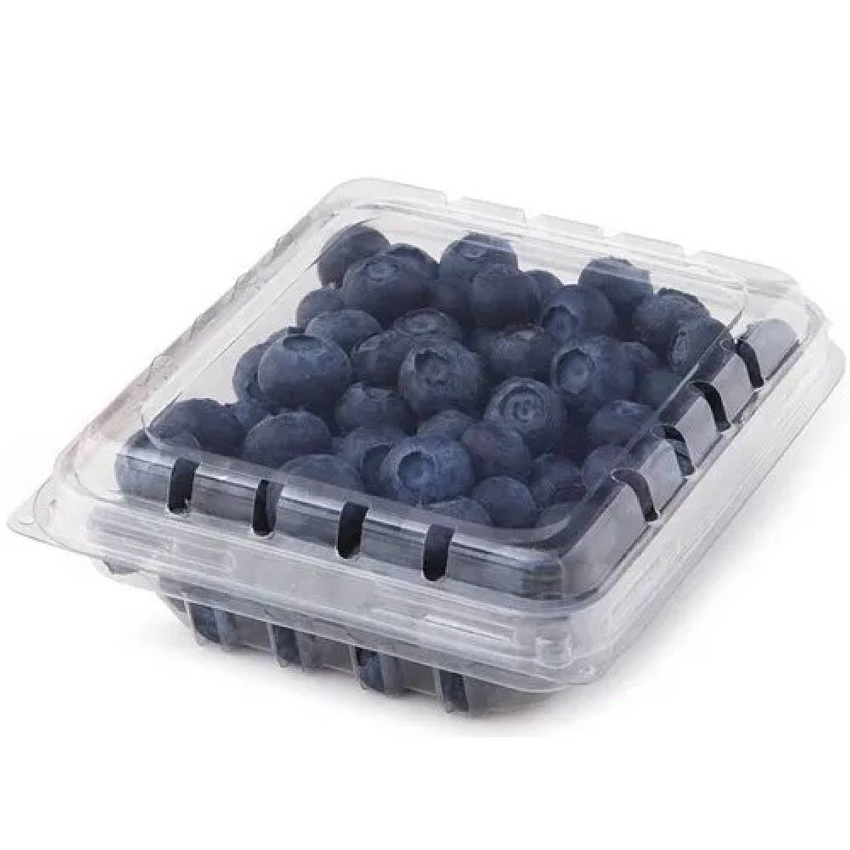 Blueberry Benassi 125g